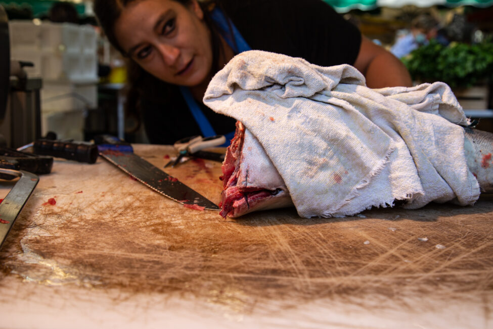 Angeschnittener Thunfisch am Markt von Aix-en-Provence